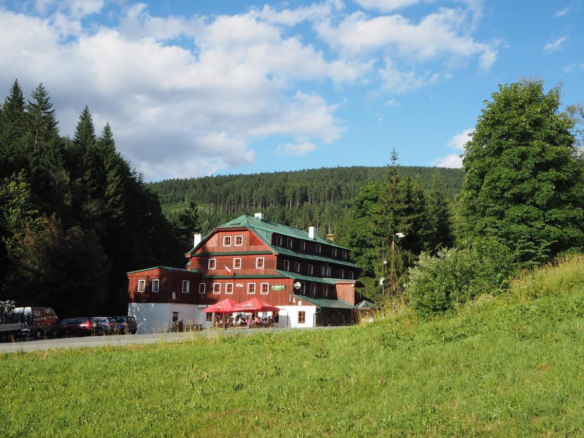 Hotel Alba Destne v Orlickych horach Exterior photo